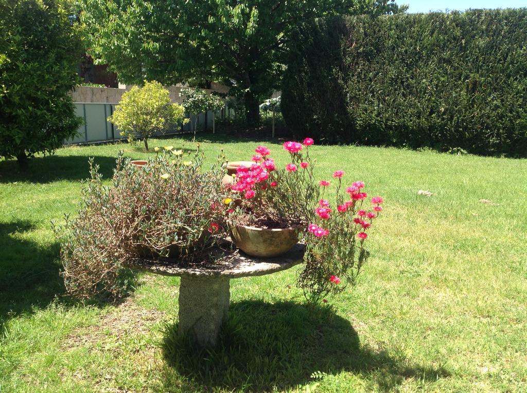 Willa Casa De Romao Amares Zewnętrze zdjęcie