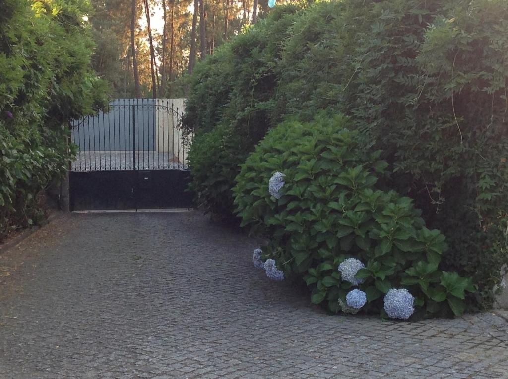 Willa Casa De Romao Amares Zewnętrze zdjęcie