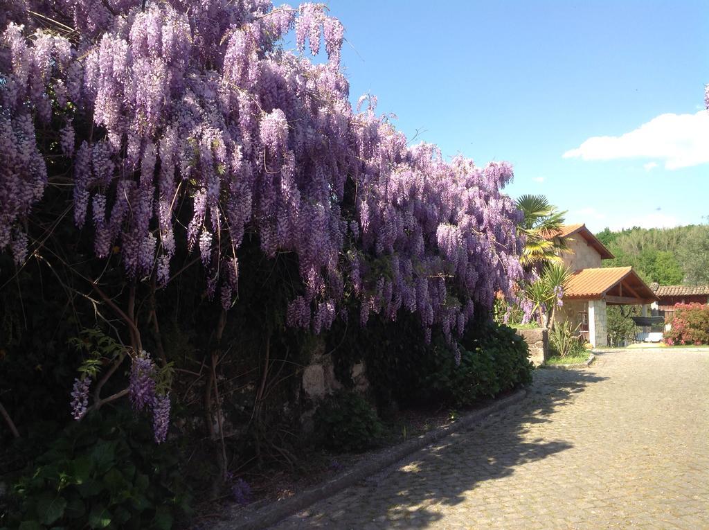 Willa Casa De Romao Amares Zewnętrze zdjęcie